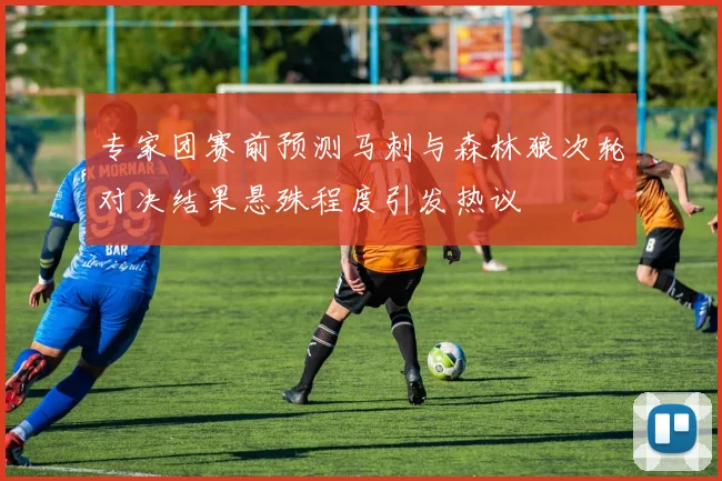 专家团赛前预测马刺与森林狼次轮对决结果悬殊程度引发热议